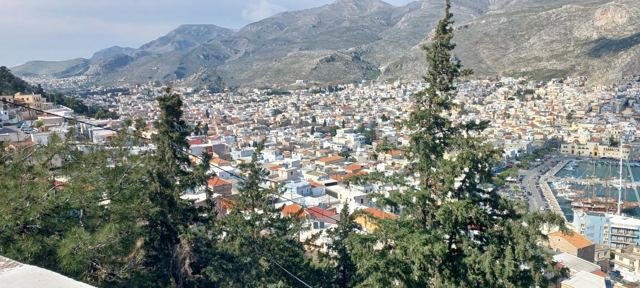 Pothia entre as árvores