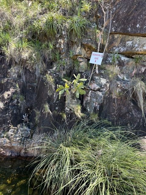 A placa no paredão indica o caminho da Cachoeira do Xupé