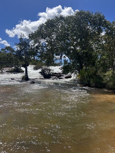 O rio corre largo entre as árvores do cerrado