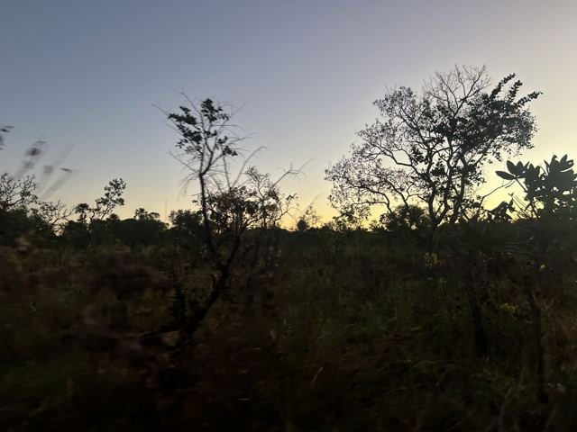 O sol se despedindo atrás do cerrado
