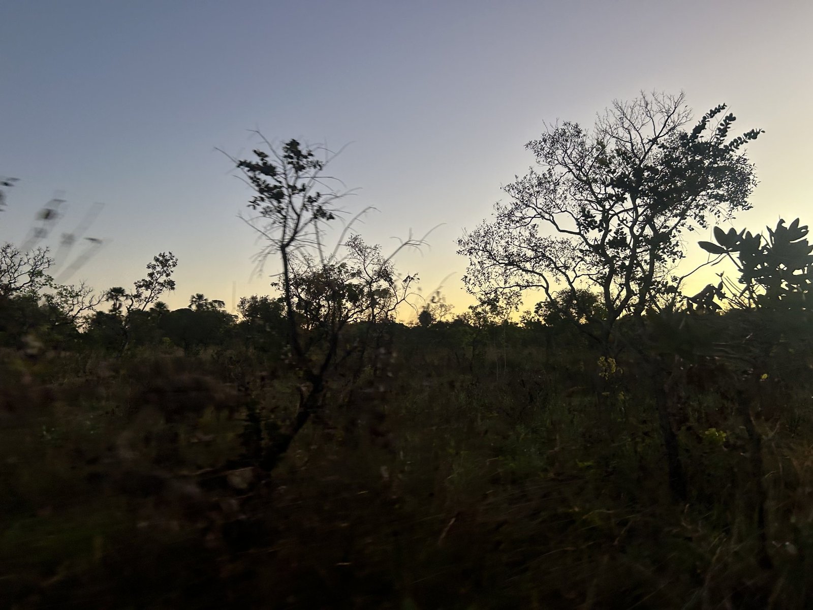 Pôr do sol no cerrado