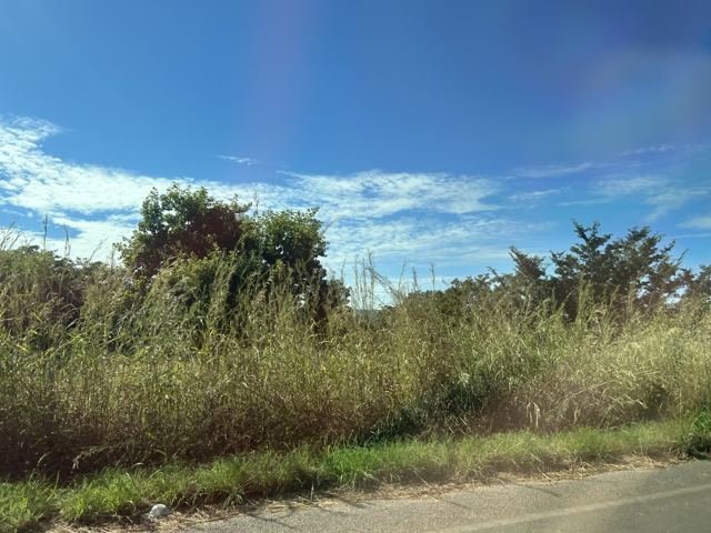 Terceiro dia: estrada rumo ao sul, para as Serras Gerais