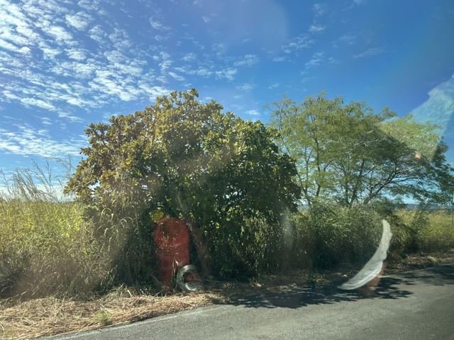 Paradinha na beira da estrada
