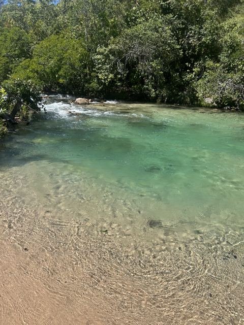 De volta à água verde-cristalina