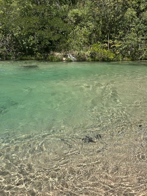 O fundo de areia visto através da água