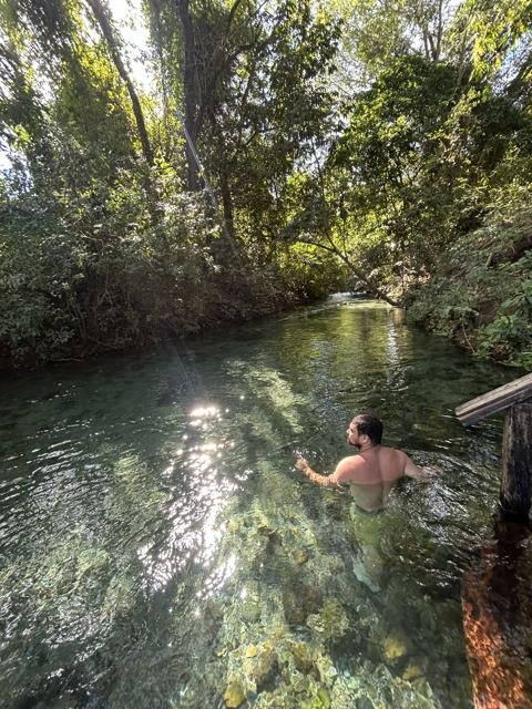 A água transparente sob as árvores